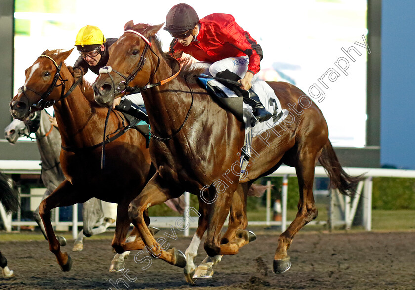 Beccara-Rose-0007 
 BECCARA ROSE (Harry Davies) wins The NFRC Irish EBF Maiden Fillies Stakes
Kempton 8 Sep 2023 - Pic Steven Cargill / Racingfotos.com