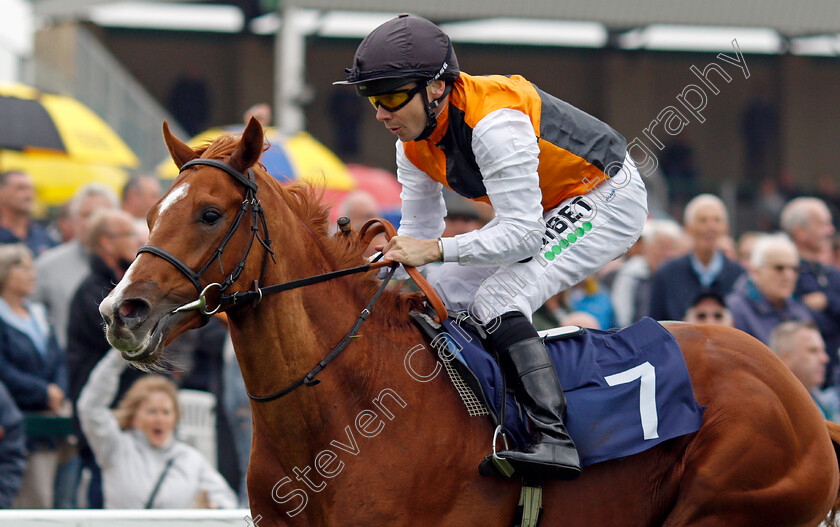 Light-Infantry-0007 
 LIGHT INFANTRY (Jamie Spencer) wins The British Stallion Studs EBF Novice Stakes
Yarmouth 14 Sep 2021 - Pic Steven Cargill / Racingfotos.com