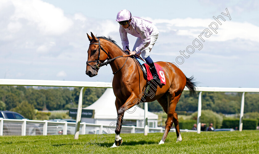 Prince-Eric-0005 
 PRINCE ERIC (William Buick) winner of The Download The Betmgm App Handicap 
Sandown 15 Jun 2024 - Pic Steven Cargill / Racingfotos.com