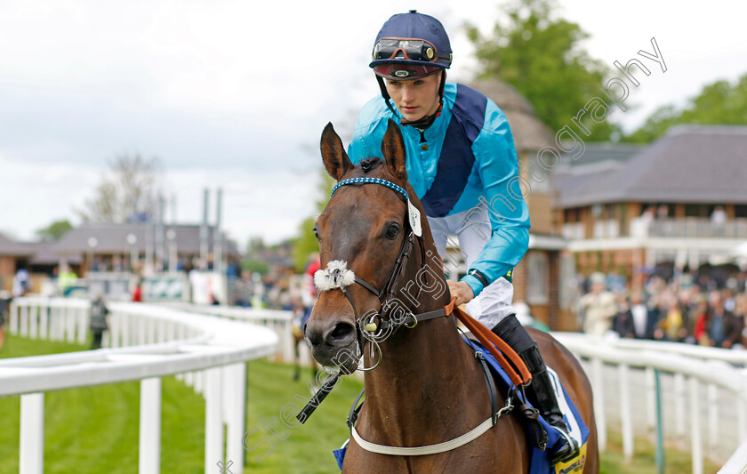 Boogie-Time 
 BOOGIE TIME (Rhona Pindar)
York 11 May 2022 - Pic Steven Cargill / Racingfotos.com