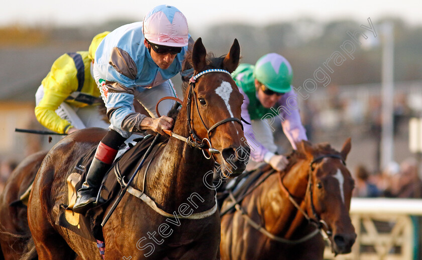 Astral-Beau-0001 
 ASTRAL BEAU (Shane Kelly) wins The Christmas Parties At Newmarket Handicap
Newmarket 29 Oct 2022 - Pic Steven Cargill / Racingfotos.com