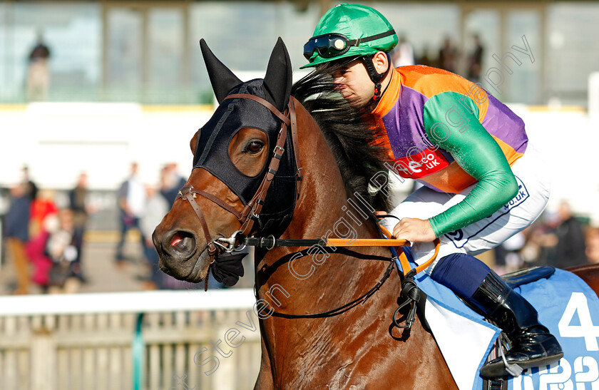 Quinault-0001 
 QUINAULT (Marco Ghiani)
Newmarket 11 Oct 2024 - Pic Steven Cargill / Racingfotos.com