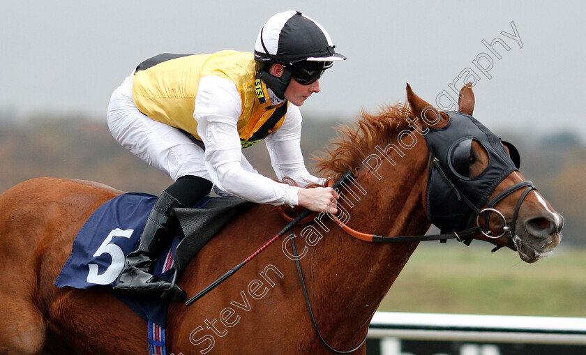 True-Destiny-0006 
 TRUE DESTINY (Adam McNamara) wins The Betway Stayers Handicap Div2
Lingfield 20 Nov 2018 - Pic Steven Cargill / Racingfotos.com