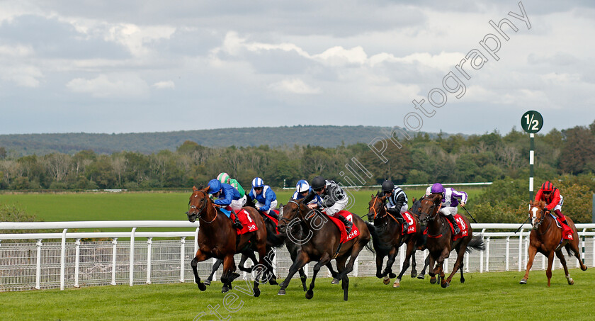 Lavender s-Blue-0002 
 LAVENDER'S BLUE (2nd left, Rob Hornby) beats BENBATL (left) in The Tote Celebration Mile
Goodwood 28 Aug 2021 - Pic Steven Cargill / Racingfotos.com