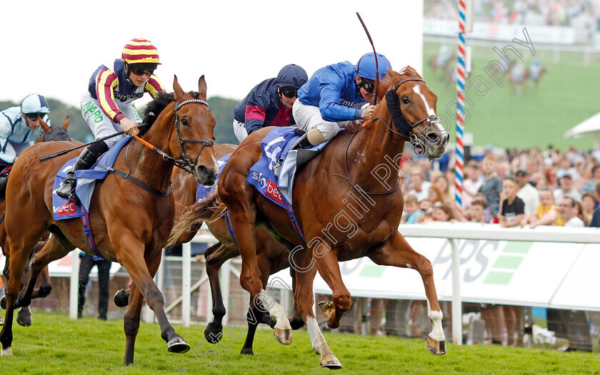 Wild-Lion-0003 
 WILD LION (Kieran O'Neill) beats GWEEDORE (left) in The Sky Bet Handicap
York 17 Jun 2023 - Pic Steven Cargill / Racingfotos.com