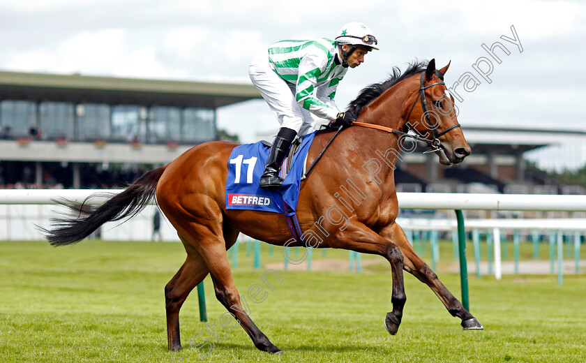 Witch-Hunter-0002 
 WITCH HUNTER (Sean Levey)
Haydock 8 Jun 2024 - Pic Steven Cargill / Racingfotos.com