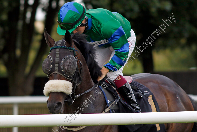 Roshambo-0001 
 ROSHAMBO (Callum Rodriguez)
Newmarket 4 Aug 2023 - Pic Steven Cargill / Racingfotos.com