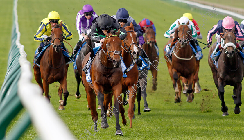 Inquisitively-0005 
 INQUISITIVELY (William Buick) wins The Newmarket Academy Godolphin Beacon Project Cornwallis Stakes
Newmarket 13 Oct 2023 - Pic Steven Cargill / Racingfotos.com