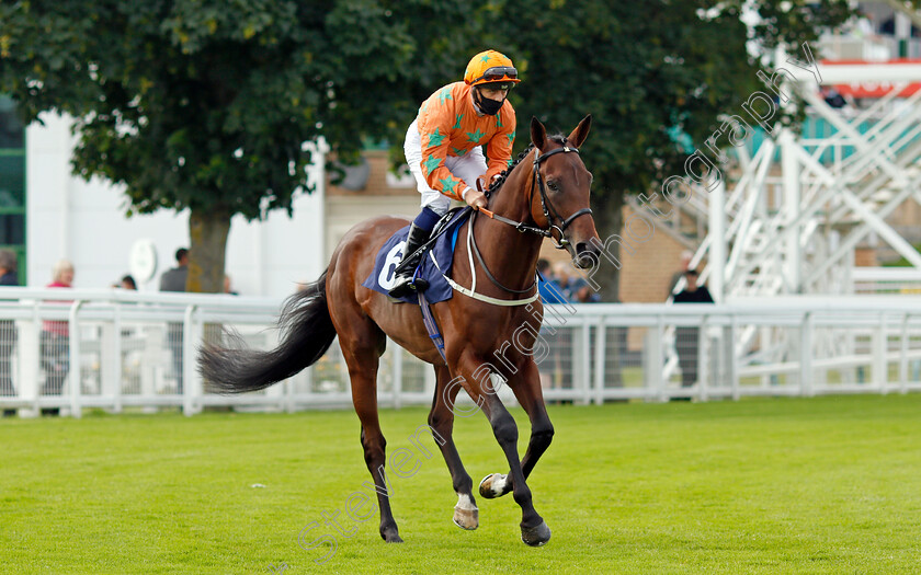 Reams-Of-Love-0001 
 REAMS OF LOVE (Ben Curtis)
Yarmouth 14 Jul 2021 - Pic Steven Cargill / Racingfotos.com