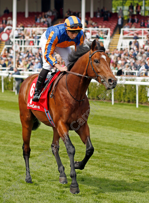 Star-Of-India-0002 
 STAR OF INDIA (Ryan Moore) winner of The Homeserve Dee Stakes
Chester 5 May 2022 - Pic Steven Cargill / Racingfotos.com