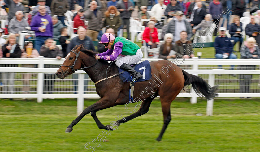 Bush-Rose-0001 
 BUSH ROSE (John Egan) wins The Bresbet Rewards Loyalty Handicap
Yarmouth 16 Oct 2023 - Pic Steven Cargill / Racingfotos.com