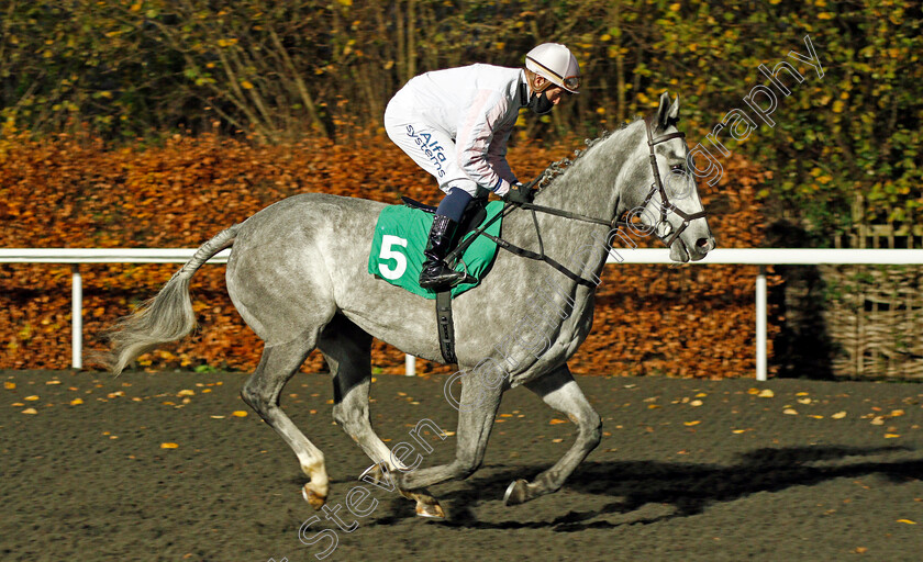 Fauvette-0001 
 FAUVETTE (Jim Crowley) winner of The Unibet Extra Place Offers Every Day Novice Stakes
Kempton 25 Nov 2020 - Pic Steven Cargill / Racingfotos.com