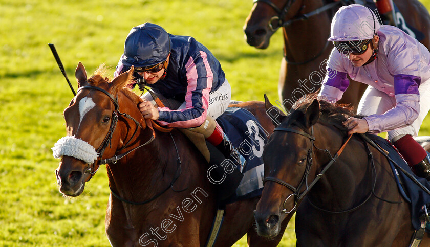 Juan-Bermudez-0007 
 JUAN BERMUDEZ (Andrea Atzeni) wins The Let's Talk About Race Webinar EBF Future Stayers Novice Stakes
Newmarket 20 Oct 2021 - Pic Steven Cargill / Racingfotos.com