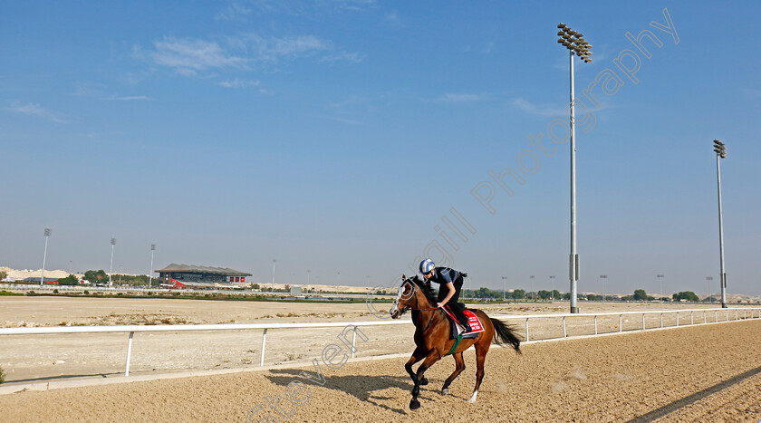 Spirit-Dancer-0001 
 SPIRIT DANCER training for the Bahrain International Trophy
Kingdom of Bahrain 14 Nov 2024 - Pic Steven Cargill / Racingfotos.com