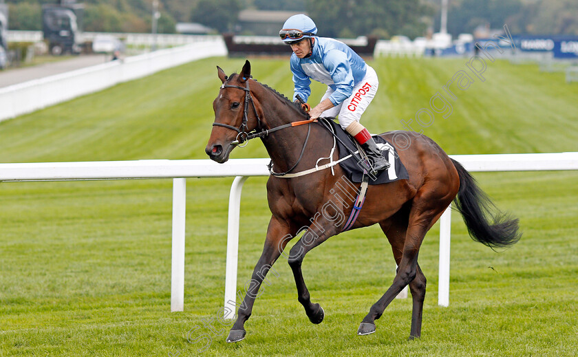 Vivid-Diamond-0001 
 VIVID DIAMOND (Franny Norton)
Ascot 5 Oct 2019 - Pic Steven Cargill / Racingfotos.com