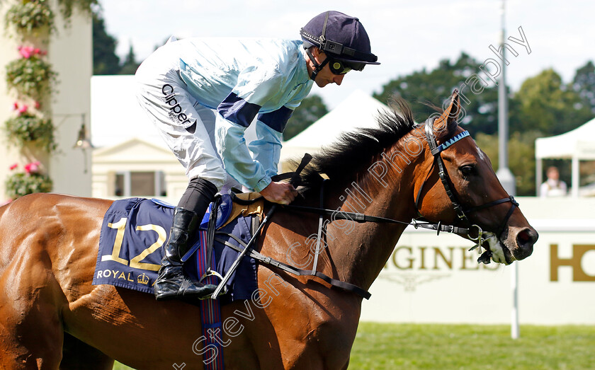 Believing-0001 
 BELIEVING (Daniel Tudhope)
Royal Ascot 22 Jun 2024 - Pic Steven Cargill / Racingfotos.com