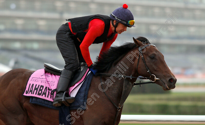 Jahbath-0005 
 JAHBATH training for the UAE Derby
Meydan 27 Mar 2019 - Pic Steven Cargill / Racingfotos.com