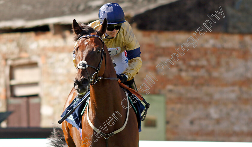 Tempus-0001 
 TEMPUS (Hollie Doyle) winner of The Tattersalls Sovereign Stakes
Salisbury 11 Aug 2022 - Pic Steven Cargill / Racingfotos.com