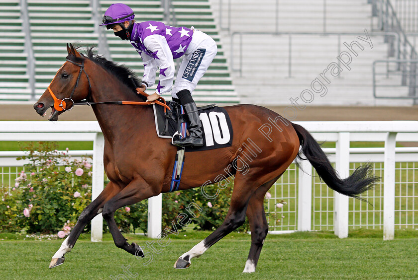 Shanghai-Rock-0002 
 SHANGHAI ROCK (Harry Bentley)
Ascot 25 Jul 2020 - Pic Steven Cargill / Racingfotos.com