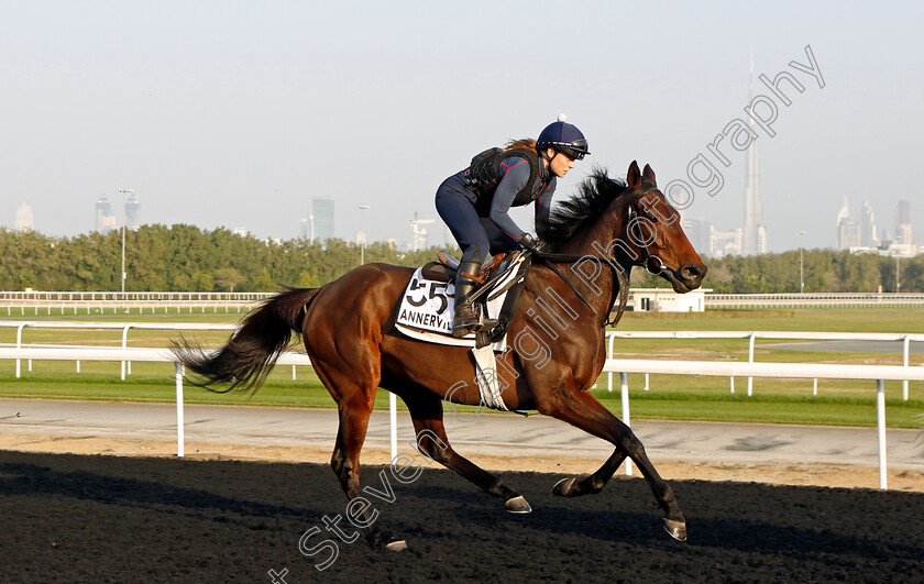 Annerville-0001 
 ANNERVILLE training at Meydan, Dubai
2 Feb 2023 - Pic Steven Cargill / Racingfotos.com