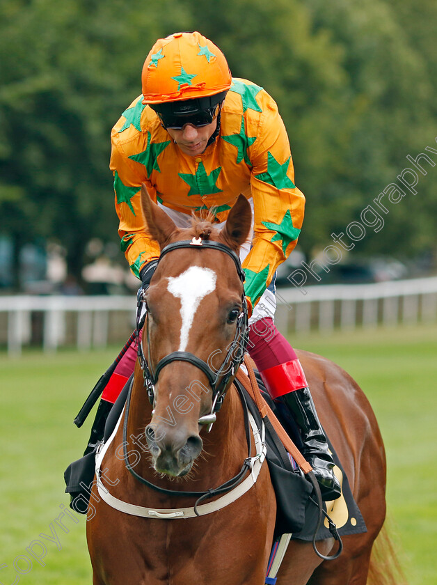 Love-De-Vega-0001 
 LOVE DE VEGA (Frankie Dettori) winner of The Harry Allport Is Getting Married Handicap
Newmarket 30 Jul 2022 - Pic Steven Cargill / Racingfotos.com