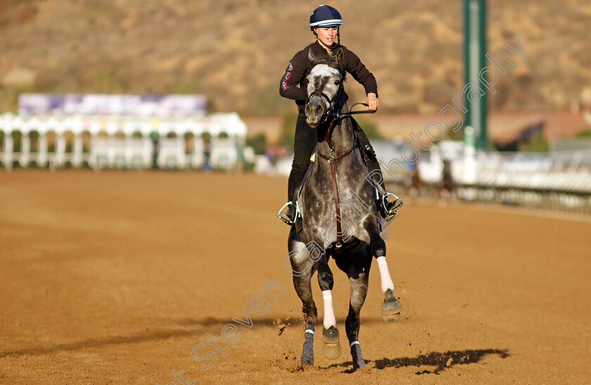 Post-Time-0005 
 POST TIME training for the Breeders' Cup Dirt Mile
Del Mar USA 31 Oct 2024 - Pic Steven Cargill / Racingfotos.com