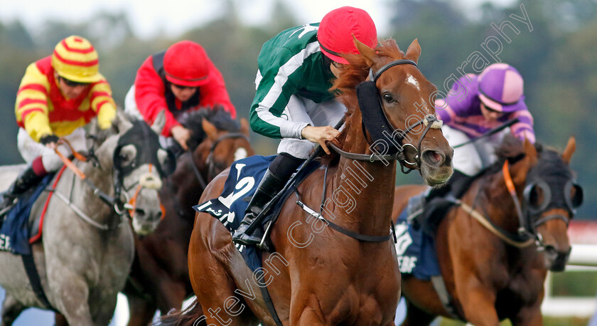 Satin-0001 
 SATIN (Shane Foley) wins The Irish Stallion Farms EBF Petingo Handicap
Leopardstown 9 Sep 2023 - Pic Steven Cargill / Racingfotos.com