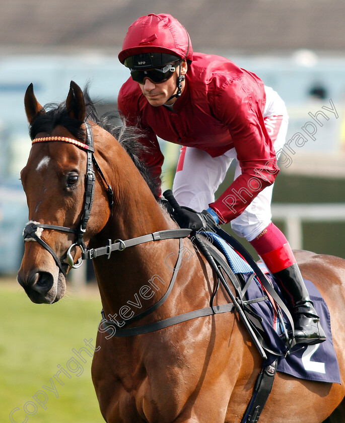 King-Of-Comedy-0002 
 KING OF COMEDY (Frankie Dettori) winner of The Eastern Power Systems Of Norwich Novice Stakes
Yarmouth 23 Apr 2019 - Pic Steven Cargill / Racingfotos.com