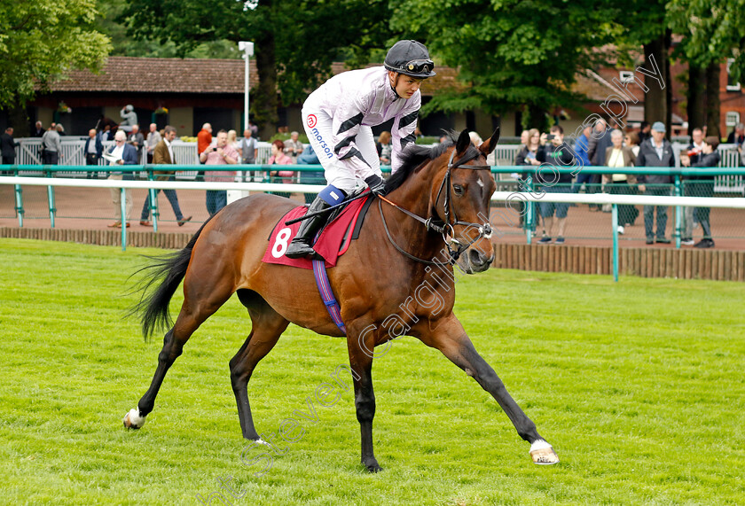 Miranda 
 MIRANDA (Megan Nicholls)
Haydock 21 May 2022 - Pic Steven Cargill / Racingfotos.com