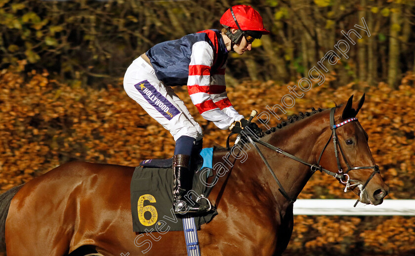 Rascal-Recknell-0001 
 RASCAL RECKNELL (Daniel Muscutt)
Kempton 13 Dec 2023 - Pic Steven Cargill / Racingfotos.com