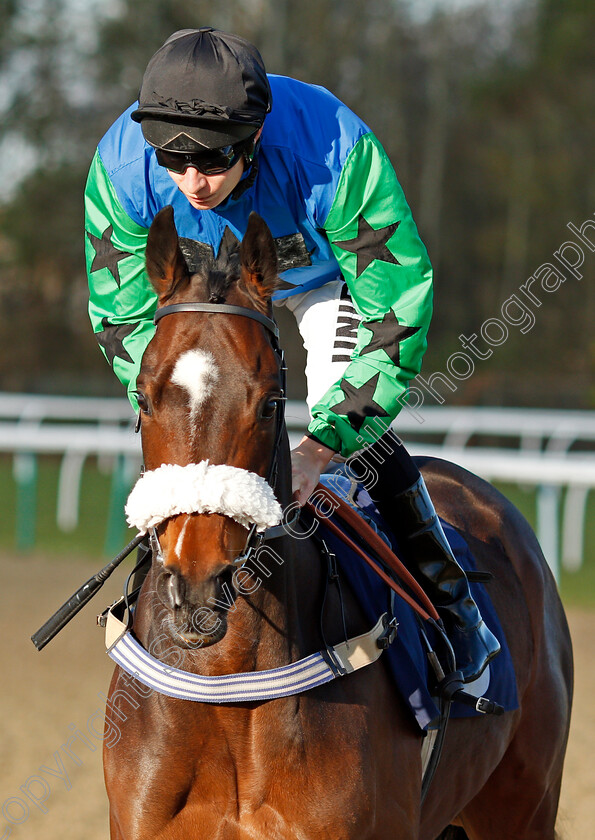 Mohareb-0002 
 MOHAREB (Luke Morris)
Lingfield 10 Jan 2020 - Pic Steven Cargill / Racingfotos.com