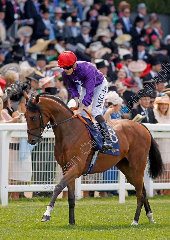 Primrose-Ridge 
 PRIMROSE RIDGE (Gary Halpin)
Royal Ascot 15 Jun 2022 - Pic Steven Cargill / Racingfotos.com