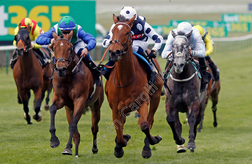 Rebel-Territory-0002 
 REBEL TERRITORY (centre, Jim Crowley) beats VAFORTINO (left) in The National Stud Handicap
Newmarket 18 Apr 2023 - Pic Steven Cargill / Racingfotos.com