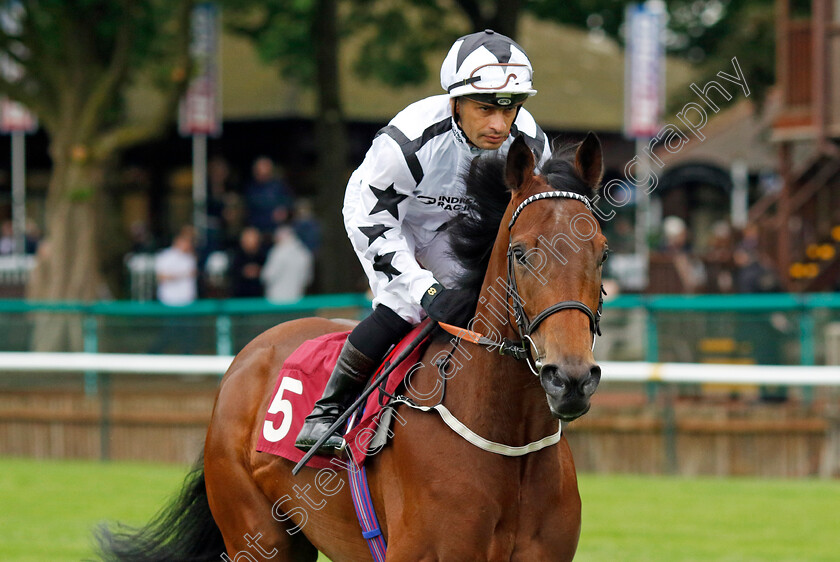 Sophia s-Starlight-0001 
 SOPHIA'S STARTLIGHT (Silvestre De Sousa)
Haydock 24 May 2024 - Pic Steven cargill / Racingfotos.com