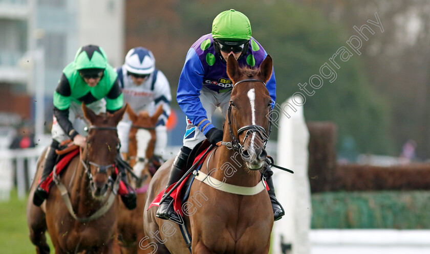 Alto-Alto-0001 
 ALTO ALTO (Rex Dingle)
Sandown 8 Dec 2023 - Pic Steven Cargill / Racingfotos.com