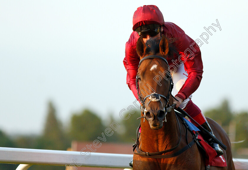 King-Of-Comedy-0009 
 KING OF COMEDY (Frankie Dettori) wins The Matchbook Low Commission Exchange Heron Stakes
Sandown 23 May 2019 - Pic Steven Cargill / Racingfotos.com