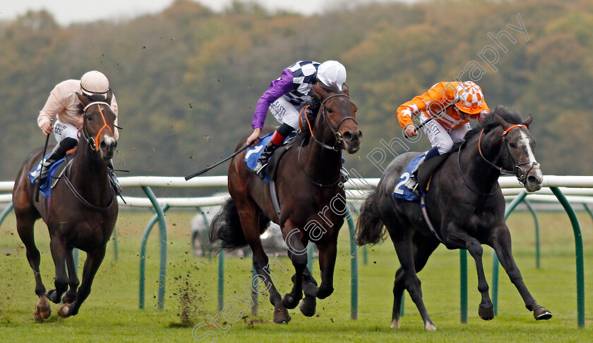 Blazing-Tunder-0005 
 BLAZING TUNDER (Dane O'Neill) beats ASTROLOGIST (centre) in The Kier Construction EBF Maiden Stakes Div2 Nottingham 18 Oct 2017 - Pic Steven Cargill / Racingfotos.com