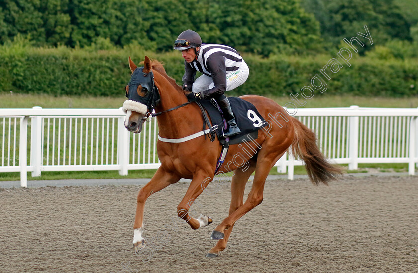 Urban-Road 
 URBAN ROAD (Dale Swift)
Chelmsford 7 Jun 2022 - Pic Steven Cargill / Racingfotos.com