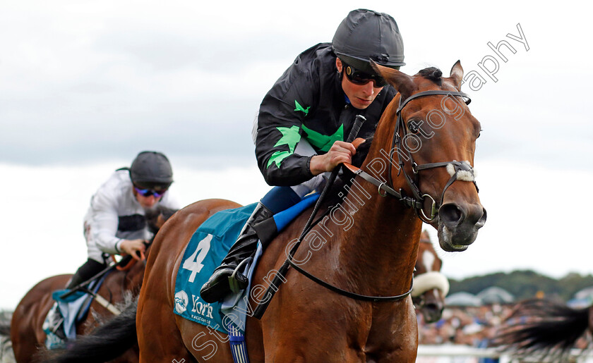 Inquisitively-0001 
 INQUISITIVELY (William Buick) wins The Julia Graves Roses Stakes
York 26 Aug 2023 - Pic Steven Cargill / Racingfotos.com