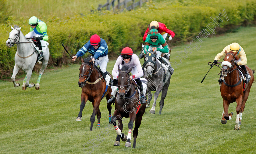 Iranistan-0004 
 IRANISTAN (centre, Darren Nagle) beats GIBRALFARO (2nd left) in The Marcellus Frost Champion Hurdle Percy Warner Park, Nashville 12 May 2018 - Pic Steven Cargill / Racingfotos.com