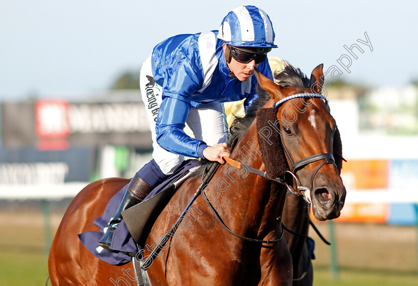 Majaalis-0005 
 MAJAALIS (Jim Crowley) wins The Dennis Barrett Jolly Boys Outing Handicap
Yarmouth 18 Sep 2019 - Pic Steven Cargill / Racingfotos.com