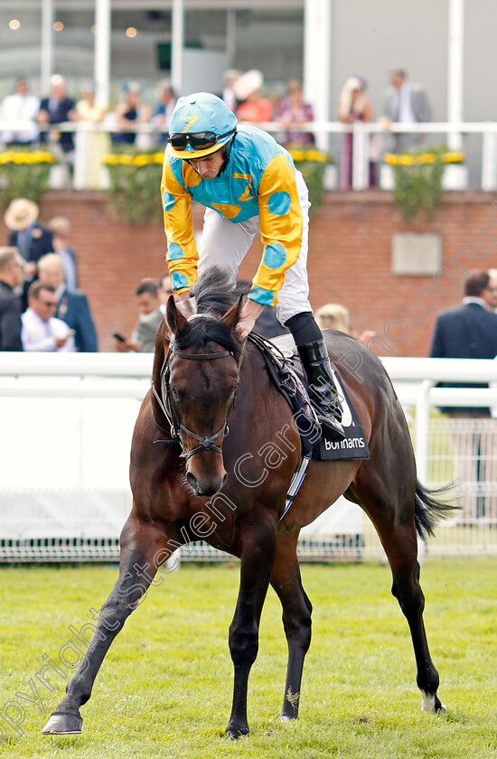 Old-Glory-0001 
 OLD GLORY (Ryan Moore)
Goodwood 2 Aug 2019 - Pic Steven Cargill / Racingfotos.com