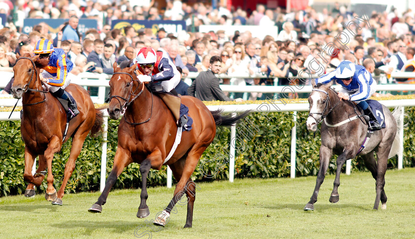 Sir-Dancealot-0003 
 SIR DANCEALOT (Gerald Mosse) beats NEVER NO MORE (left) and SHINE SO BRIGHT (right) in The Hird Rail Group Park Stakes
Doncaster 14 Sep 2019 - Pic Steven Cargill / Racingfotos.com