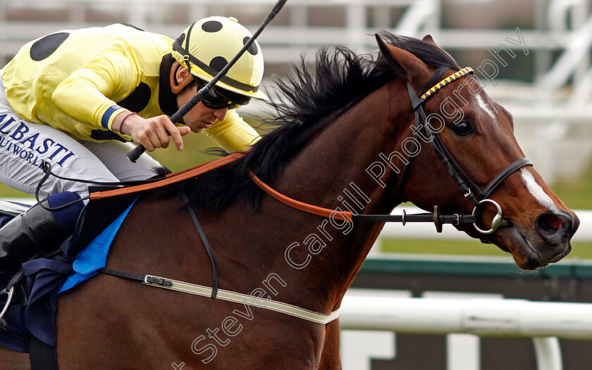 Throne-Hall-0008 
 THRONE HALL (Kevin Stott) wins The 32Red Casino Handicap
Doncaster 28 Mar 2021 - Pic Steven Cargill / Racingfotos.com