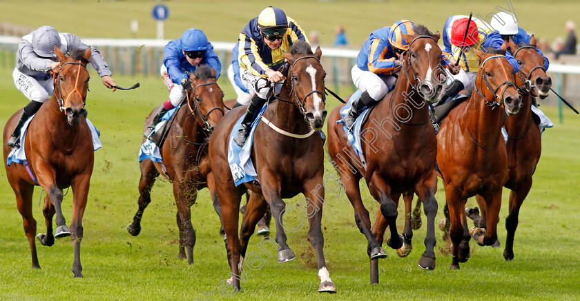 Good-Vibes-0002 
 GOOD VIBES (centre, Richard Kingscote) beats PISTOLETTO (2nd right) in The Newmarket Academy Godolphin Beacon Project Cornwallis Stakes
Newmarket 11 Oct 2019 - Pic Steven Cargill / Racingfotos.com