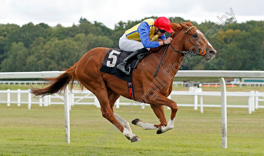 Rhythmic-Intent-0002 
 RHYTHMIC INTENT (James Doyle) wins The Frontier British EBF Maiden Stakes
Newbury 17 Aug 2019 - Pic Steven Cargill / Racingfotos.com