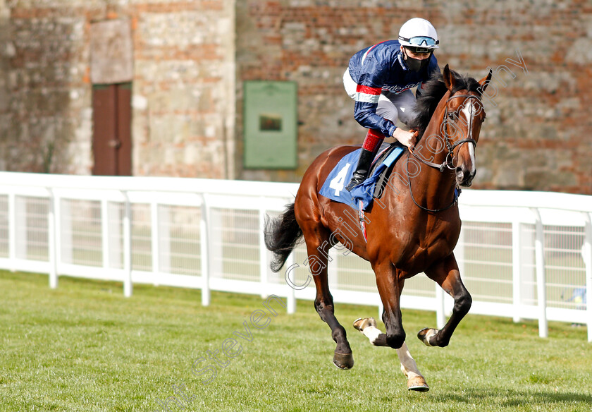 Dual-Identity-0002 
 DUAL IDENTITY (David Egan)
Salisbury 1 Oct 2020 - Pic Steven Cargill / Racingfotos.com