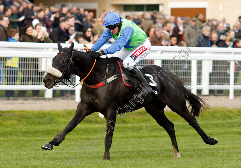 Canardier-0007 
 CANARDIER (Barry Geraghty) wins The Ballymore Novices Hurdle
Cheltenham 26 Oct 2018 - Pic Steven Cargill / Racingfotos.com