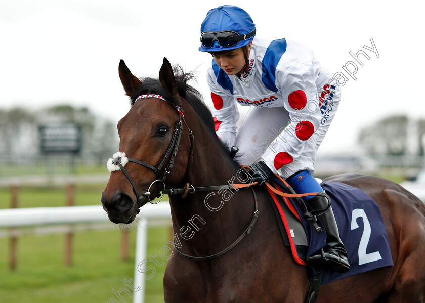 King-Of-The-Ring-0003 
 KING OF THE RING (Megan Nicholls) 
Bath 17 Oct 2018 - Pic Steven Cargill / Racingfotos.com