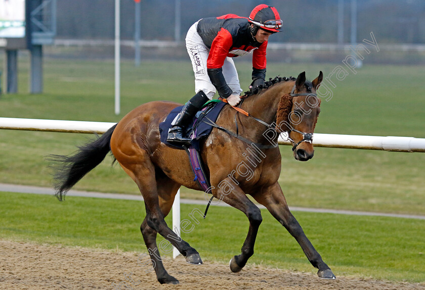 Ippotheos-0001 
 IPPOTHEOS (Rossa Ryan)
Wolverhampton 9 Mar 2024 - Pic Steven Cargill / Racingfotos.com